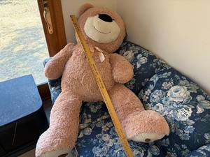 Giant teddy bear