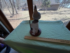 Ruffed Grouse figuring from the Hadley collection