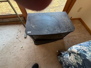 Glass door wooden TV stand