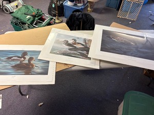 3 prints Ducks unlimited sponsor prints 2006