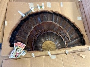 Turkey fan wall mount