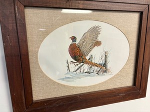 Pheasant print