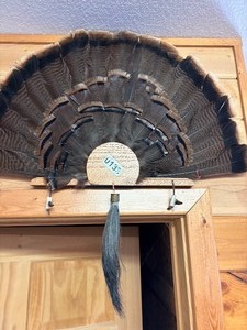Turkey fan wall mount