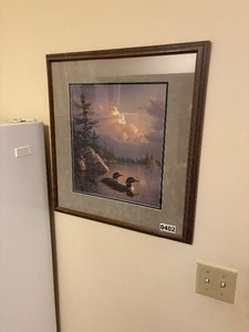 Loon artwork