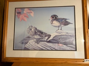 Framed woodducks print