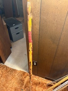 Fish head walking stick