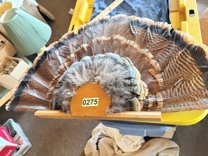 Set of 2 turkey fan mounts