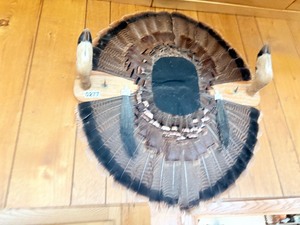 turkey fan mount gun rack