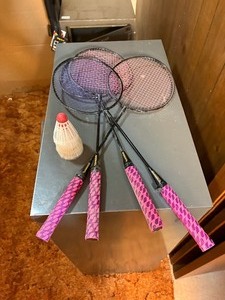 Badminton set