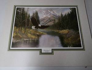 FREEDOM BY DERK HANSEN