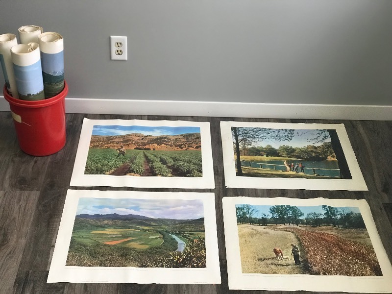 Large Lot of U.S. Department of Agriculture Prints 1965