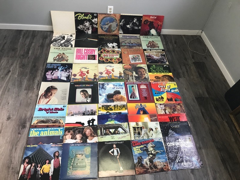 Lot of Vinyl Music Records - Pink Floyd - Blondie - The Steve Miller Band - Mellencamp - Meat Loaf - Ted Nugent - Osminds - Bill Cosby - Air Supply - The Animals - Cheech & Chong - Cheap Trick and More