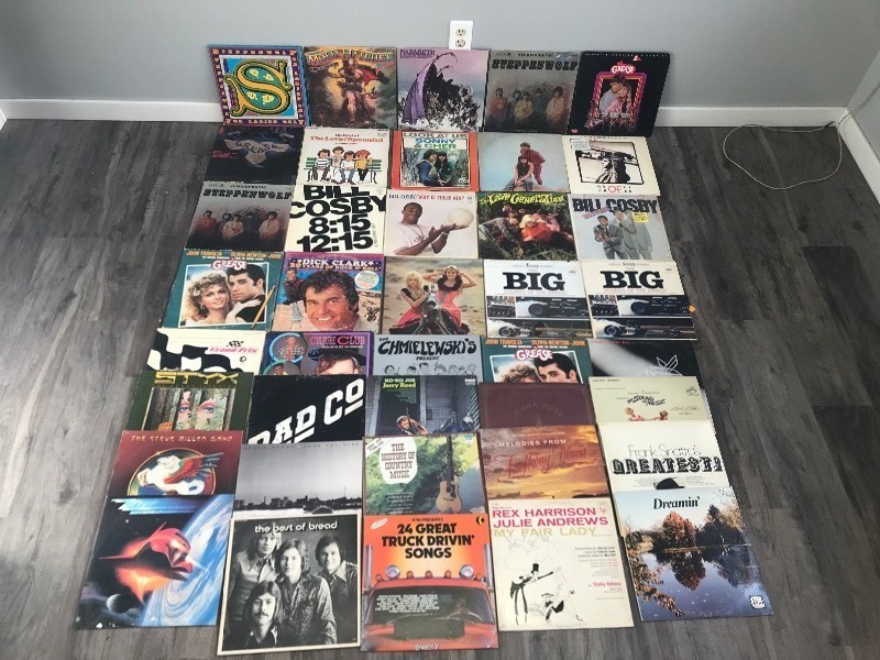 Lot of Music Vinyl Records - Steppen Wolf - Molly Hatchet - Nazareth - Grease - Bill Cosby - Styx - ZZ Top - The Steve Miller Band - Bad Co. - Sonny & Cher & More