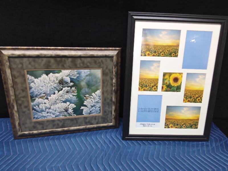 Collage frame and Bird print