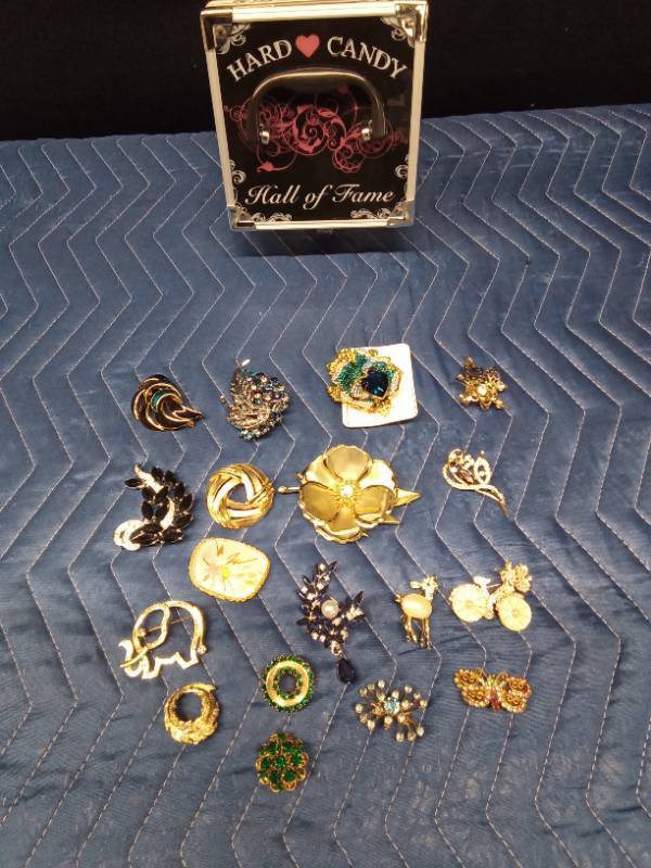 Plastic case of vintage pins