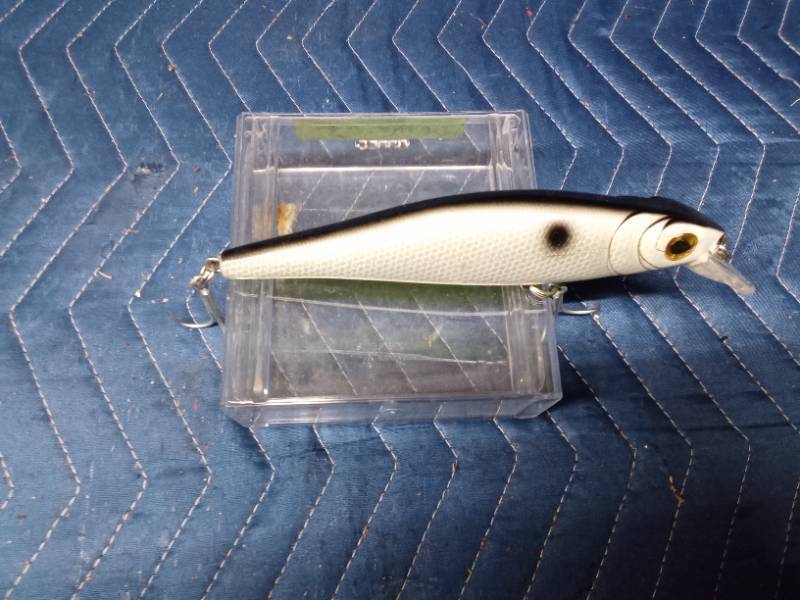 Musky lure