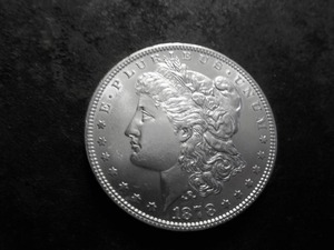 1878 Morgan Silver Dollar Reverse Of 1879