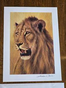 Singed Serio lithograph Young Warrior  Bone Andrew
