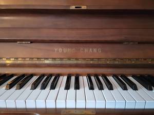 Young Chang U-10 Standing Upright Grand Piano