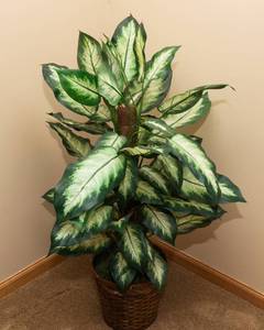 Artificial Plant - 36T