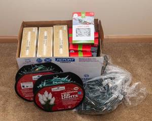 White Christmas Lights