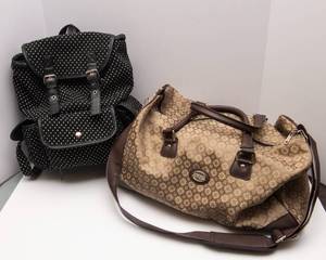 Set of 2 Travel Bags  Polka Dot Backpack & American Tourister Bag