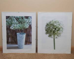 Set of 2 Nature Wall Art  IKEA Prints (15.5 x 20)