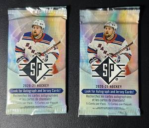2 Packs of 2020-21 SP Hockey Cards (2)