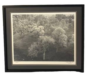 ULB - Tehachapi Pass, California 1973 Signed Print - Edition 2311000