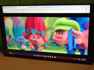 Westinghouse 24 100 Hz FHD Monitor, Black (WH24FA9420)