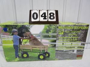 Western  Express All Terrain Wagon - green