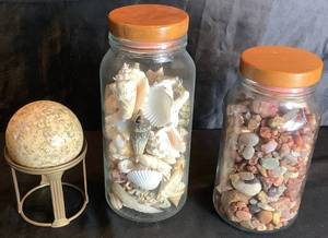 Decorative Rocks, Agates, Shells and Stone Sphere on Brass Pedestal Bundle
