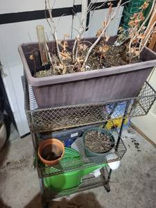 Mixed Planter Pot and Shelf Cart Lot