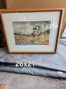 Framed Northern Bills Duck Print 26 X 21