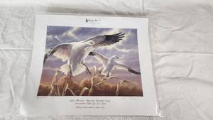 Flint Hills Resources 2008 Minnesota Migratory Waterfowl Stamp Print by Sara Stack featuring snow geese, numbered 3875000