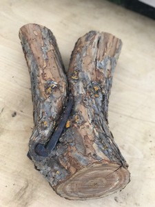 Piece of Log where the Tree Grew around a Horseshoe