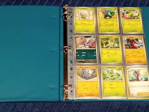 Binder of Pokmon cards