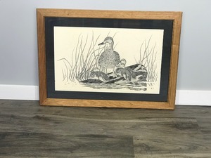 Framed Art Picture by DL Petrick 90 - Hen Mallard with Ducklings