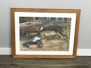 Framed, Numbered & Signed Print - Acorn Picnic - 99450