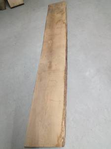 Large slab of oak - rough cut