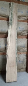 Large slab of oak - rough cut