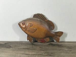Vintage Plastic Grain Belt Crappie  Rock Bass Wall Hanging Fish Advertising Decor