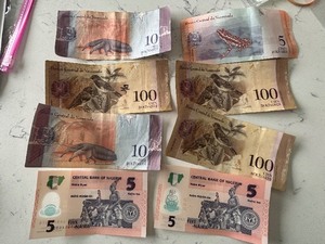 Foreign Currency