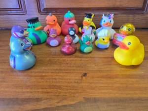 Rubber Duckys, Random Lot 18