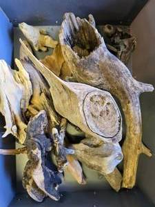 Box of Driftwood
