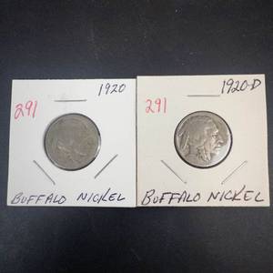 1920, 1920-D Buffalo Nickels