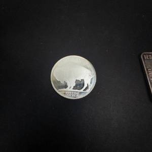.999 1 oz silver Buffalo Head round