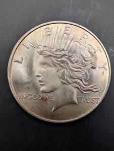 Peace Dollar Style 1oz Round