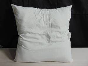 25x25 Euro Pillow Insert