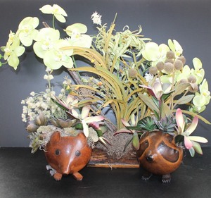 Succulents & Orchid Planters